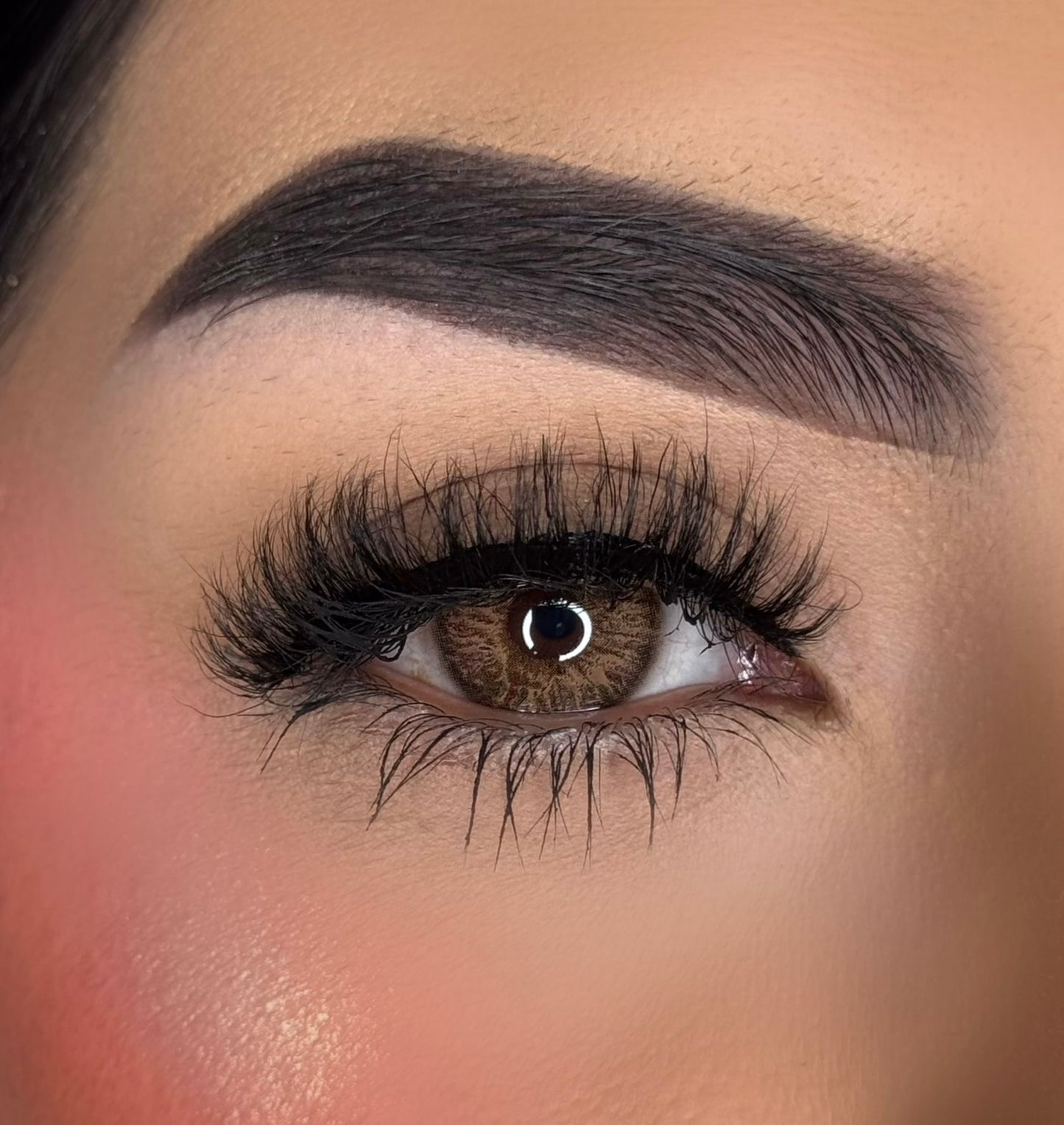 Lash Book “Pan Dulce” Coffee Lover