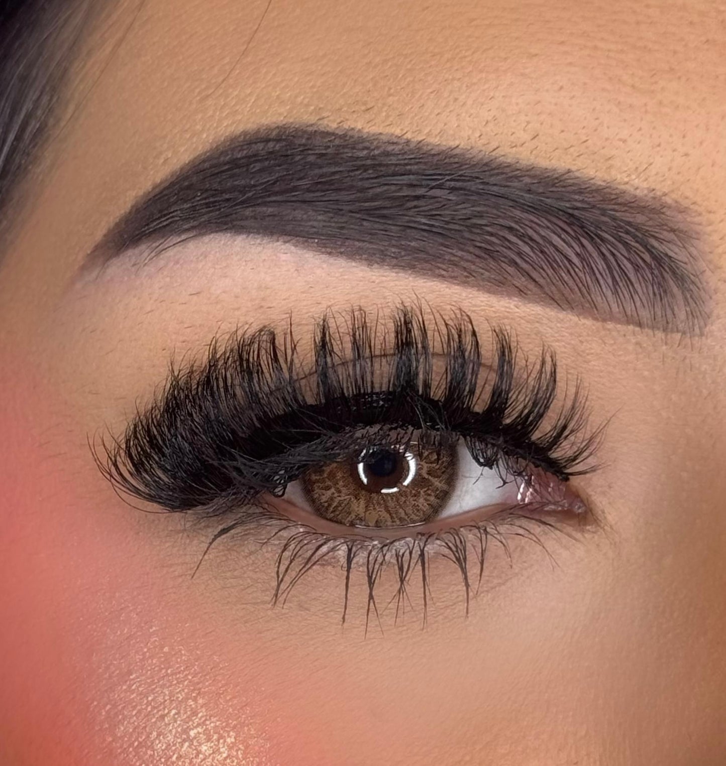 Lash Book “Pan Dulce” Coffee Lover